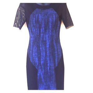 Tahari fitted dress with mesh details